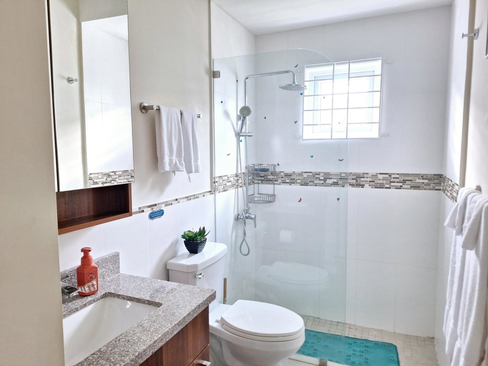 Ninth image of Lot 289 Seashore West in Phase 1 in Lucea, Hanover, Jamaica - property is For Rent