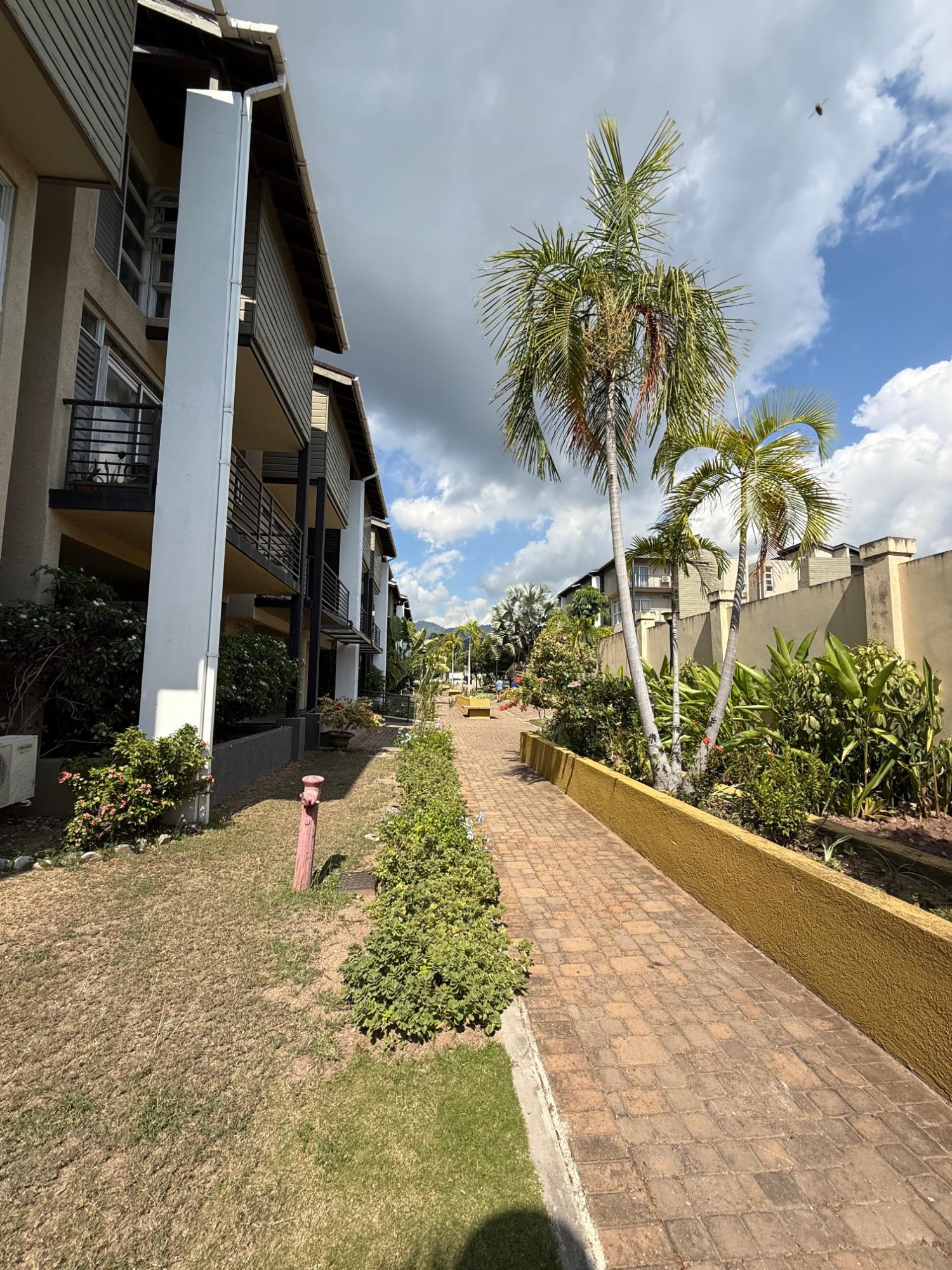 Third image of 8-1 Spathodia Avenue in Kingston 6, St. Andrew, Jamaica - property is For Rent