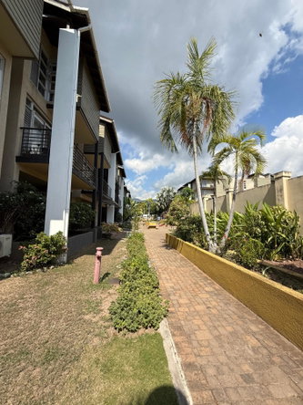 Third image of 8-1 Spathodia Avenue in Kingston 6, St. Andrew, Jamaica - property is For Rent