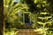 First image of Main Street Christiana, m in Christiana, Manchester, Jamaica - property is For Sale