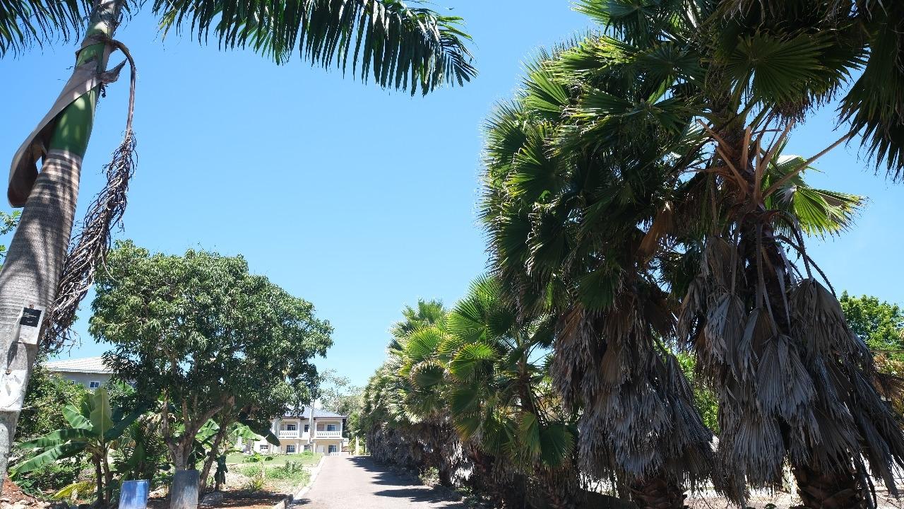 Thirteenth image of Caledonia Lane in Mandeville, Manchester, Jamaica - property is For Sale