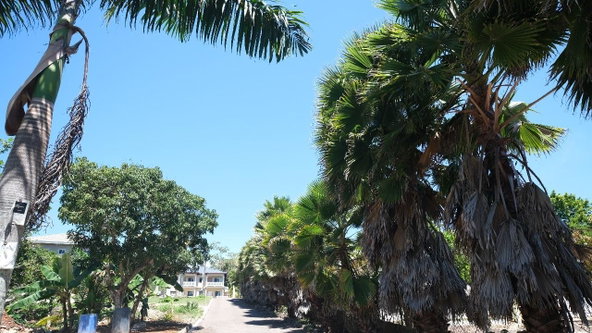 Thirteenth image of Caledonia Lane in Mandeville, Manchester, Jamaica - property is For Sale
