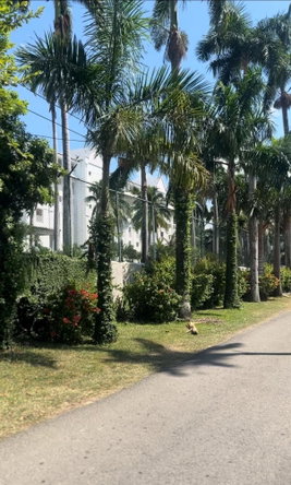 Ninth image of 40 Richmond Hill Road in Mammee Bay Estate, St. Ann, Jamaica - property is For Rent