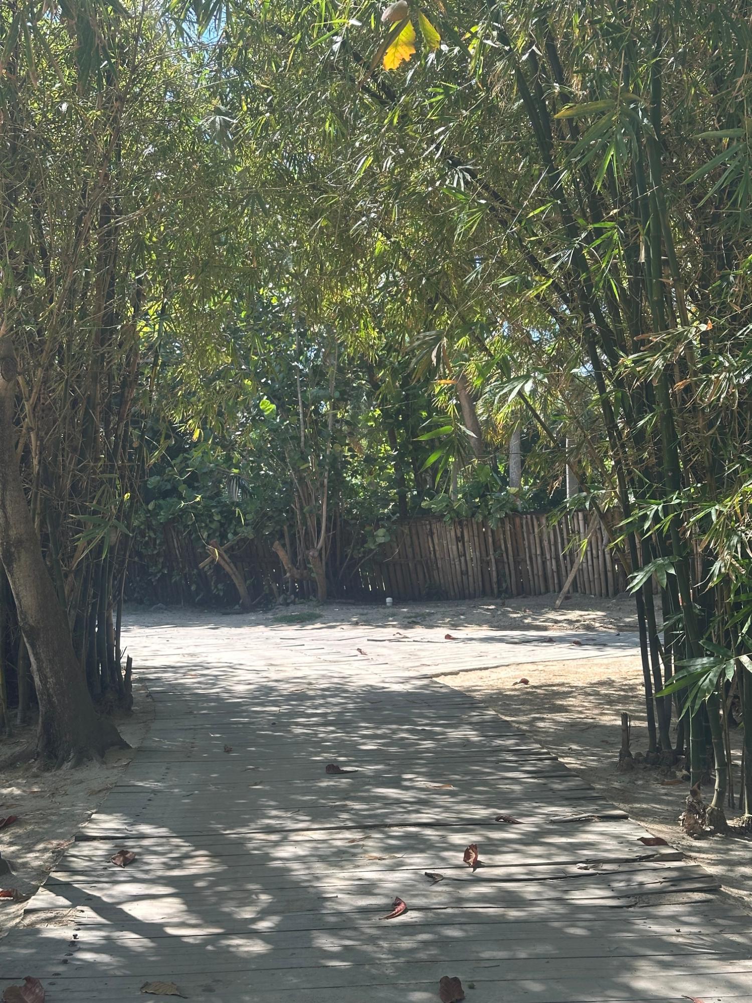 Tenth image of 40 Richmond Hill Road in Mammee Bay Estate, St. Ann, Jamaica - property is For Rent