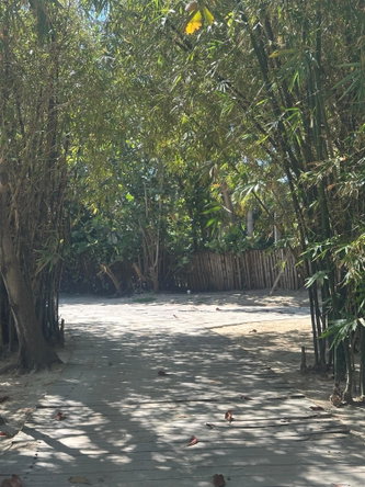 Tenth image of 40 Richmond Hill Road in Mammee Bay Estate, St. Ann, Jamaica - property is For Rent
