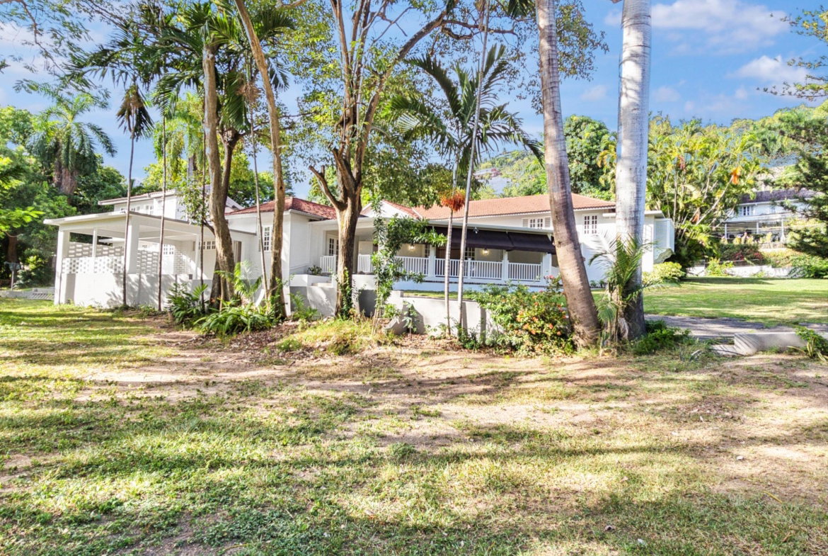 Twenty-Third image of 11 Persimmon Avenue in Kingston 6, St. Andrew, Jamaica - property is For Rent