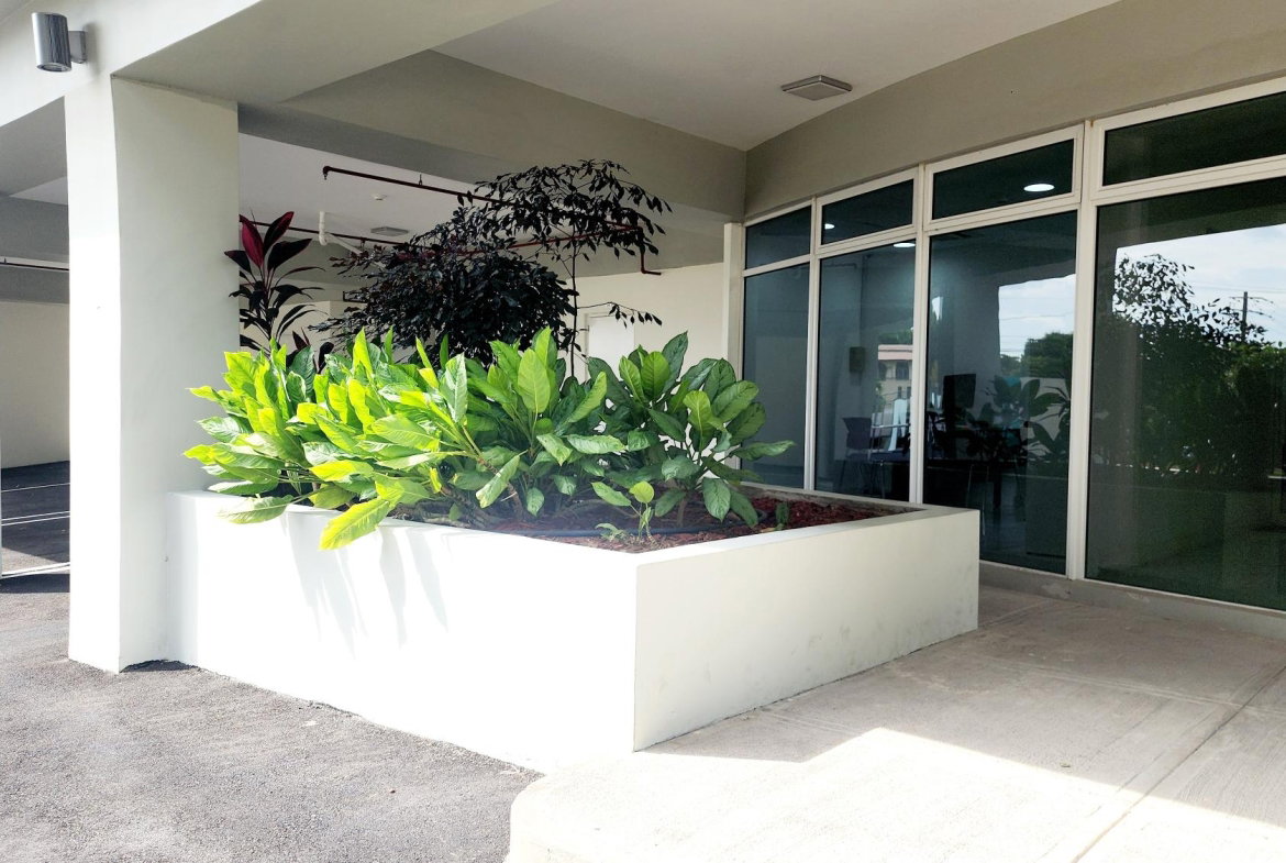 Second image of A206-4 Musgrave Ave, Kingston 10 in Kingston 5, St. Andrew, Jamaica - property is For Rent