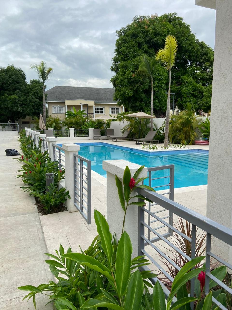 Third image of 203-41 Upper Waterloo Road in Kingston 8, St. Andrew, Jamaica - property is For Rent