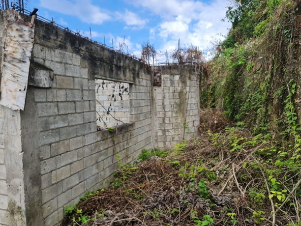 Seventh image of Hopewell Orchard, Hanover in Hopewell, Hanover, Jamaica - property is For Sale