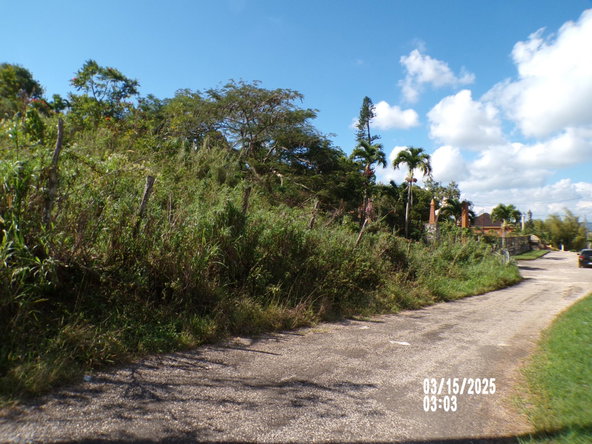 Fourth image of Section 5 Greenvale in Mandeville, Manchester, Jamaica - property is For Sale
