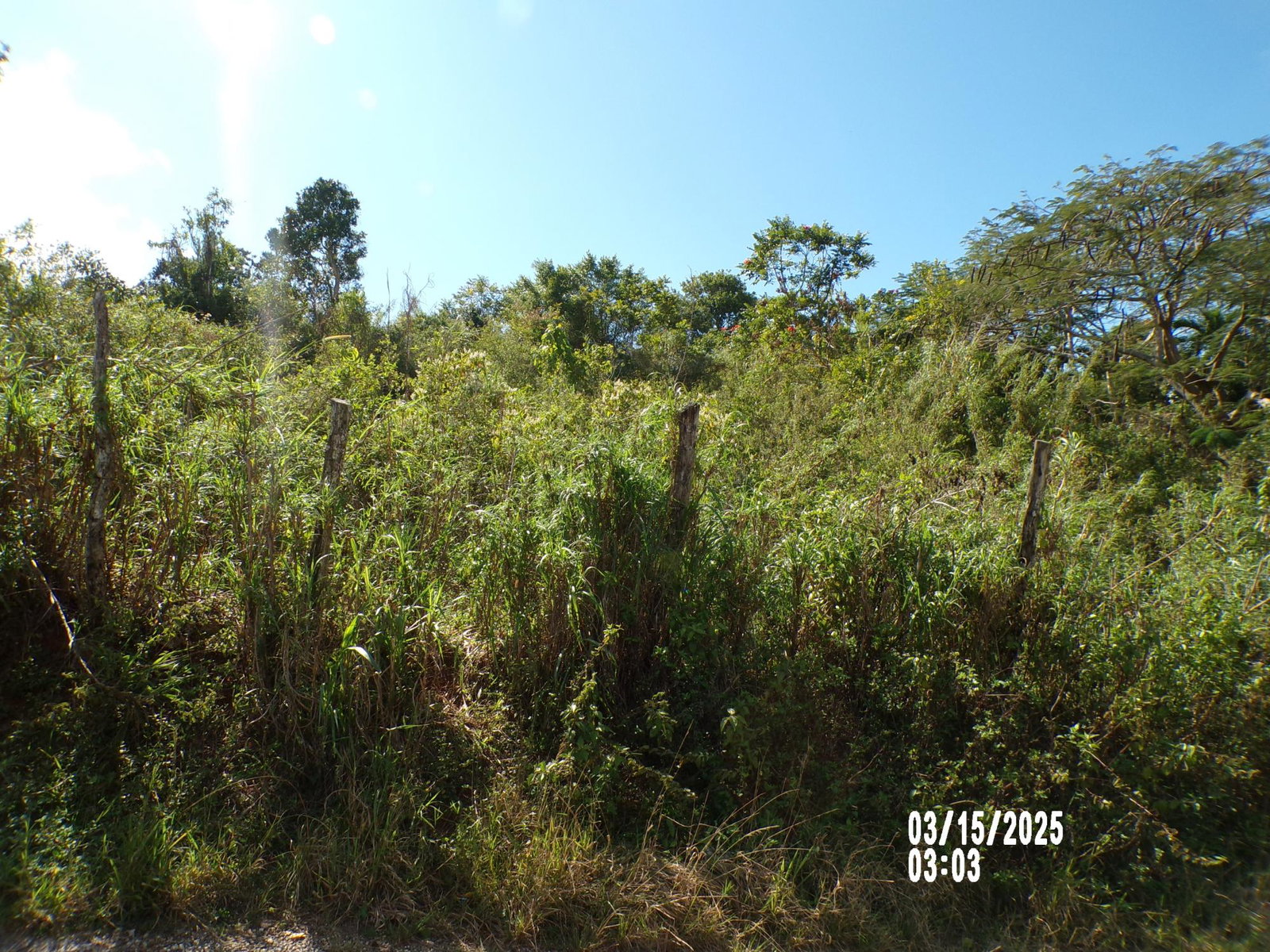 Fifth image of Section 5 Greenvale in Mandeville, Manchester, Jamaica - property is For Sale