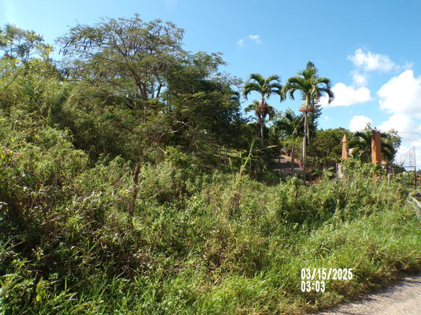 Sixth image of Section 5 Greenvale in Mandeville, Manchester, Jamaica - property is For Sale