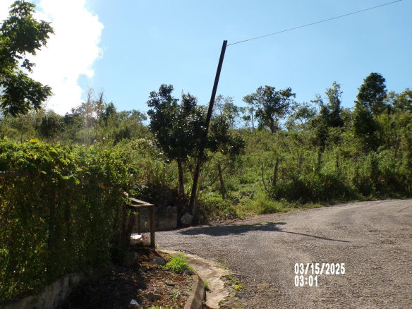 First image of Section 5 Greenvale in Mandeville, Manchester, Jamaica - property is For Sale