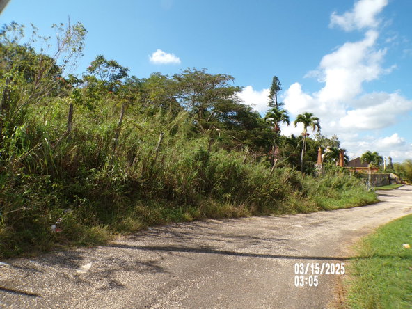 Ninth image of Section 5 Greenvale in Mandeville, Manchester, Jamaica - property is For Sale