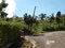 First image of Section 5 Greenvale in Mandeville, Manchester, Jamaica - property is For Sale