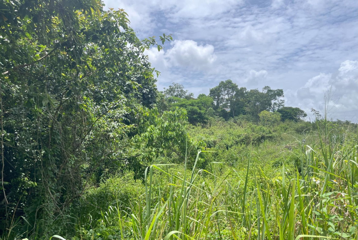 Second image of Bloomfield Street in Mandeville, Manchester, Jamaica - property is For Sale