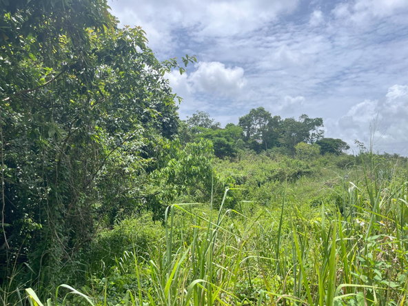 Second image of Bloomfield Street in Mandeville, Manchester, Jamaica - property is For Sale
