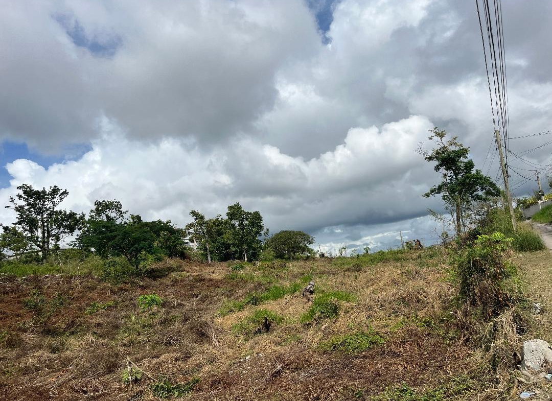 First image of Bloomfield Street in Mandeville, Manchester, Jamaica - property is For Sale
