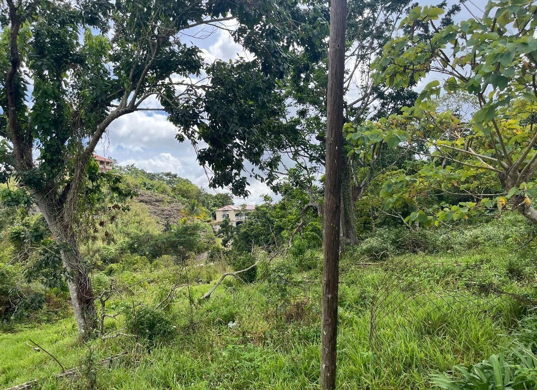 Fourth image of Bloomfield Street in Mandeville, Manchester, Jamaica - property is For Sale
