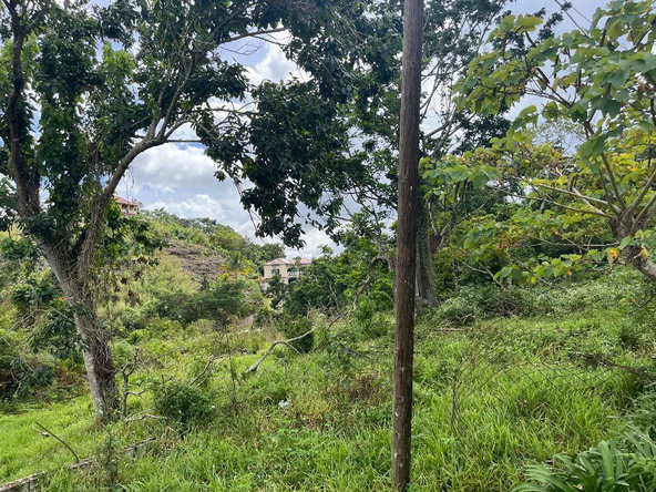 Fourth image of Bloomfield Street in Mandeville, Manchester, Jamaica - property is For Sale