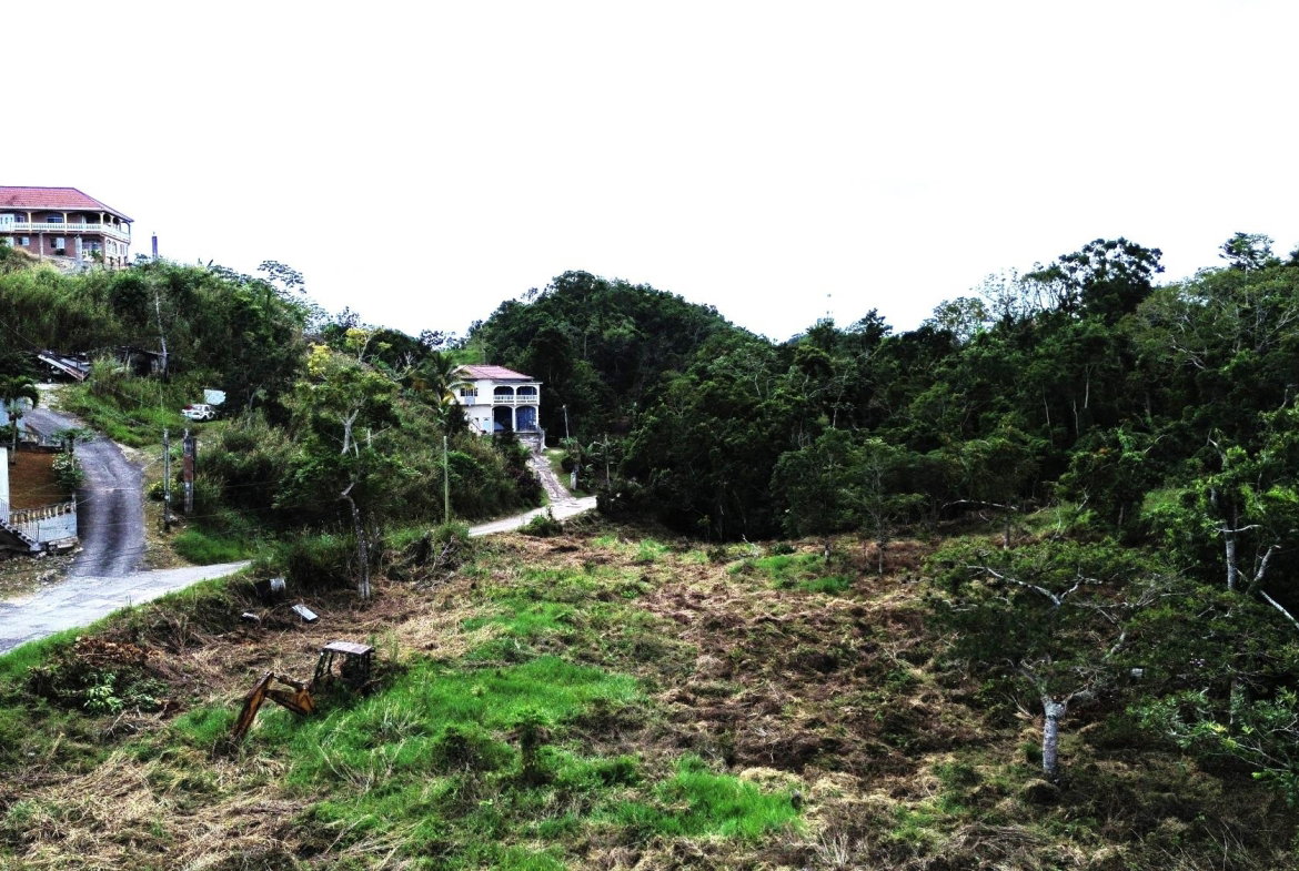 Sixth image of Bloomfield Street in Mandeville, Manchester, Jamaica - property is For Sale