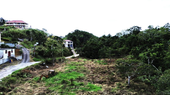 Sixth image of Bloomfield Street in Mandeville, Manchester, Jamaica - property is For Sale