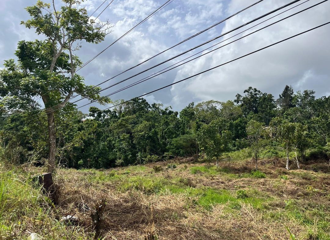 Seventh image of Bloomfield Street in Mandeville, Manchester, Jamaica - property is For Sale