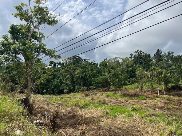 Seventh image of Bloomfield Street in Mandeville, Manchester, Jamaica - property is For Sale
