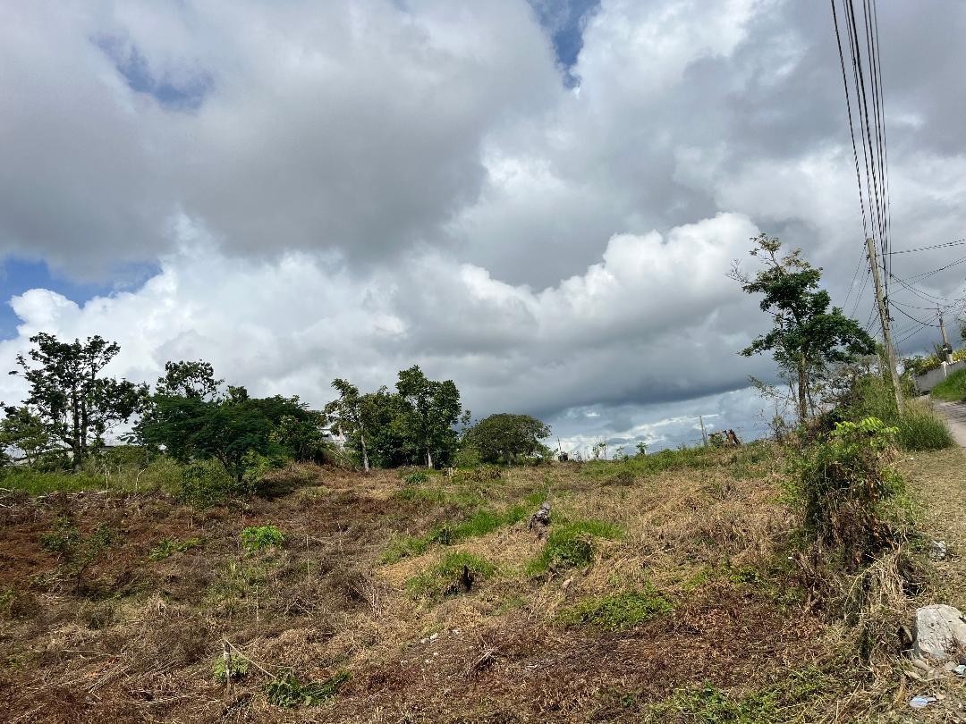 Prime-2-Acre-Residential-Lot-for-Sale-in-Mandeville-Jamaica First image of Bloomfield Street in Mandeville, Manchester, Jamaica - property is For Sale