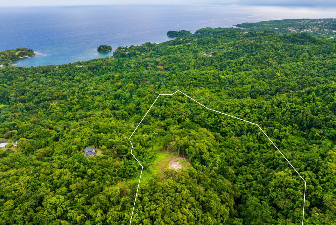 Second image of 341 San San in Fairy Hill, Portland, Jamaica - property is For Sale