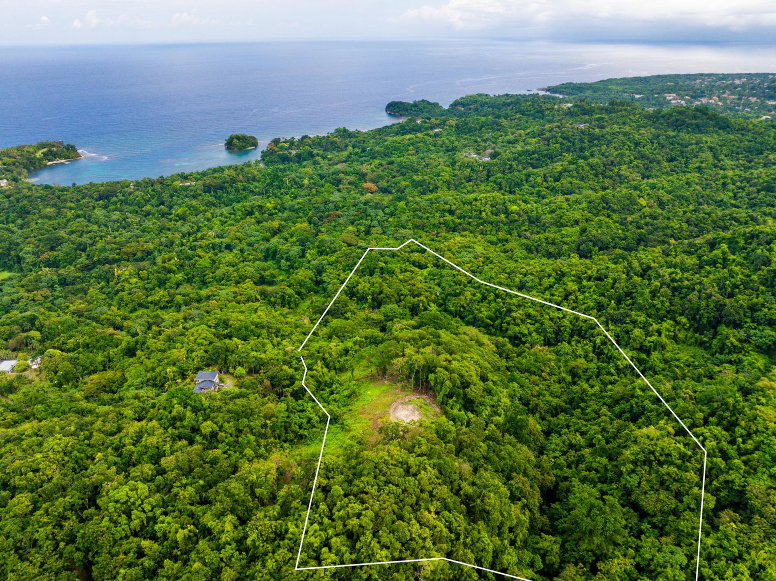 Prime-8.3-Acres-for-Sale-in-San-San-Estate-Jamaica Second image of 341 San San in Fairy Hill, Portland, Jamaica - property is For Sale