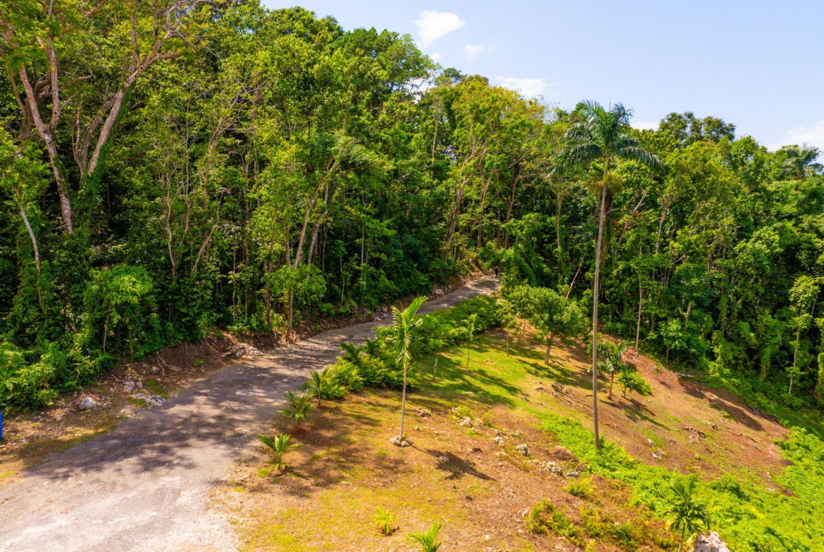 Eleventh image of 341 San San in Fairy Hill, Portland, Jamaica - property is For Sale