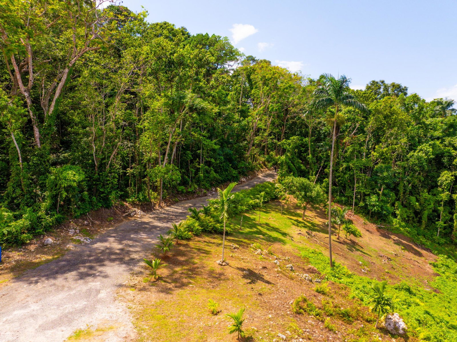 Prime-8.3-Acres-for-Sale-in-San-San-Estate-Jamaica Eleventh image of 341 San San in Fairy Hill, Portland, Jamaica - property is For Sale