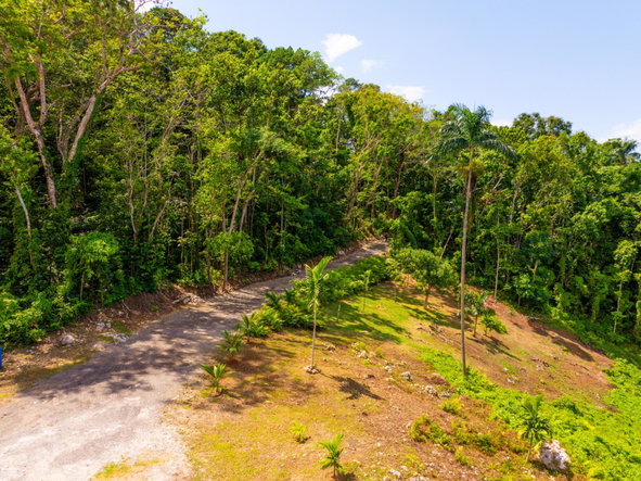 Eleventh image of 341 San San in Fairy Hill, Portland, Jamaica - property is For Sale