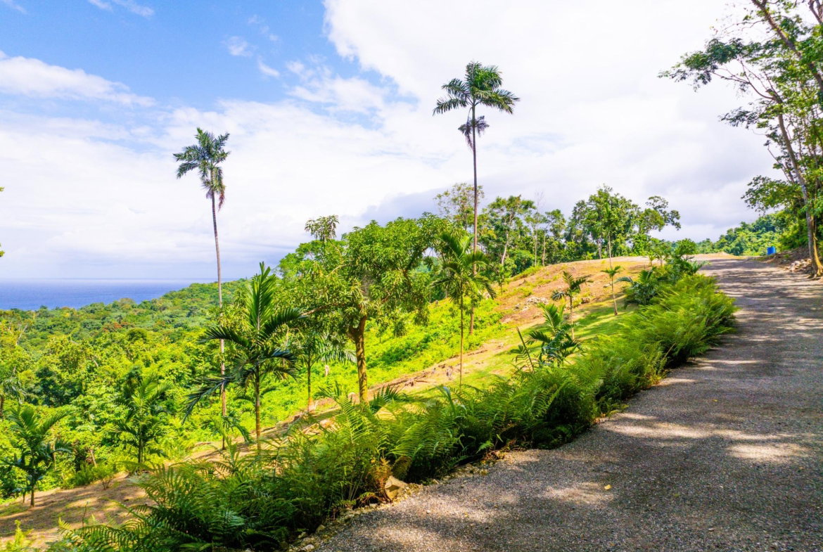 Twelfth image of 341 San San in Fairy Hill, Portland, Jamaica - property is For Sale