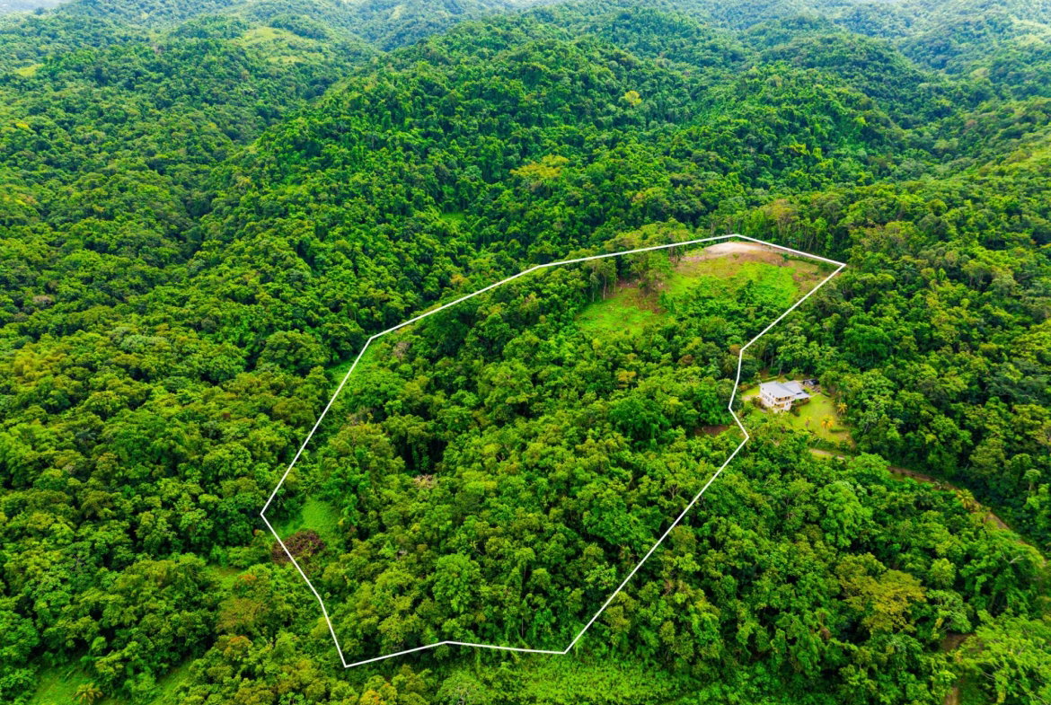 First image of 341 San San in Fairy Hill, Portland, Jamaica - property is For Sale