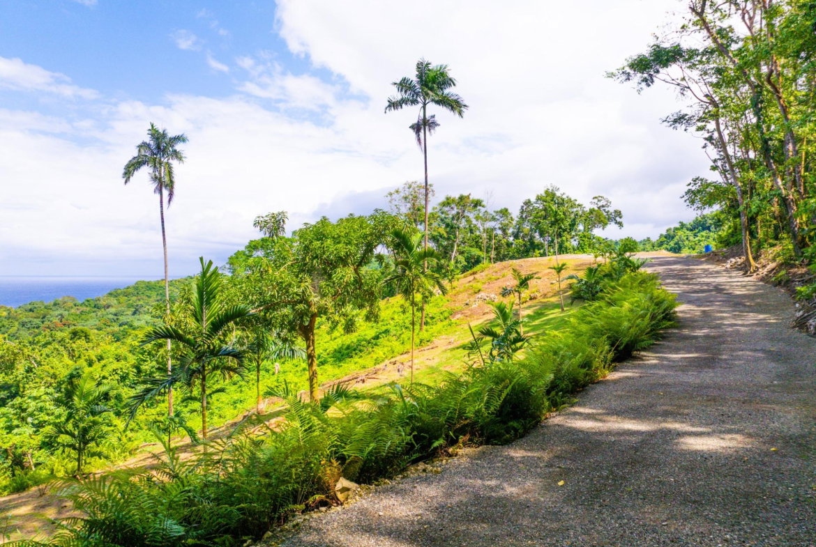Thirteenth image of 341 San San in Fairy Hill, Portland, Jamaica - property is For Sale