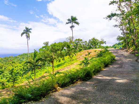 Thirteenth image of 341 San San in Fairy Hill, Portland, Jamaica - property is For Sale