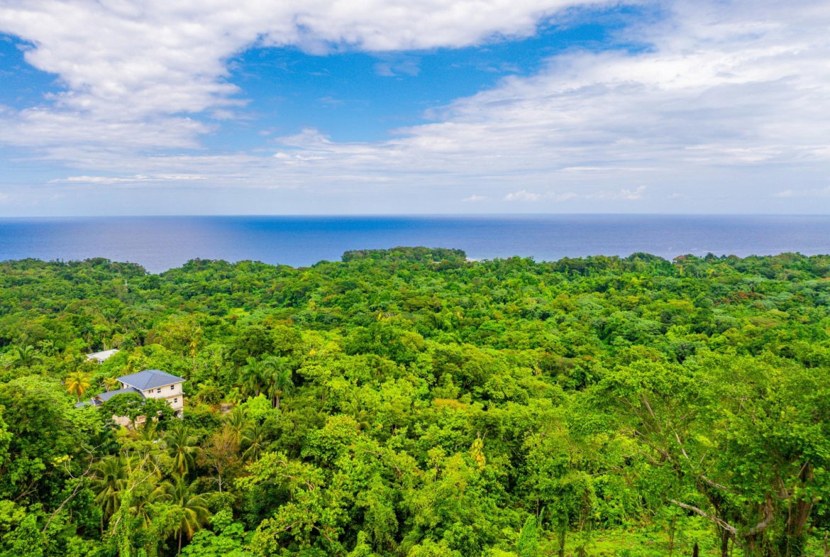 Fifteenth image of 341 San San in Fairy Hill, Portland, Jamaica - property is For Sale