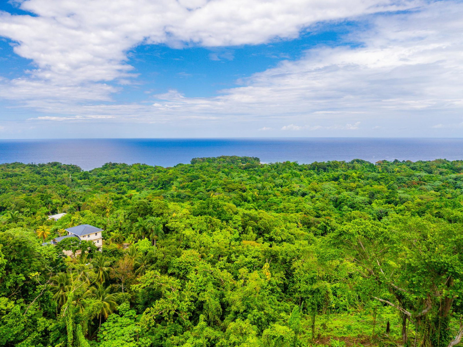 Prime-8.3-Acres-for-Sale-in-San-San-Estate-Jamaica Fifteenth image of 341 San San in Fairy Hill, Portland, Jamaica - property is For Sale
