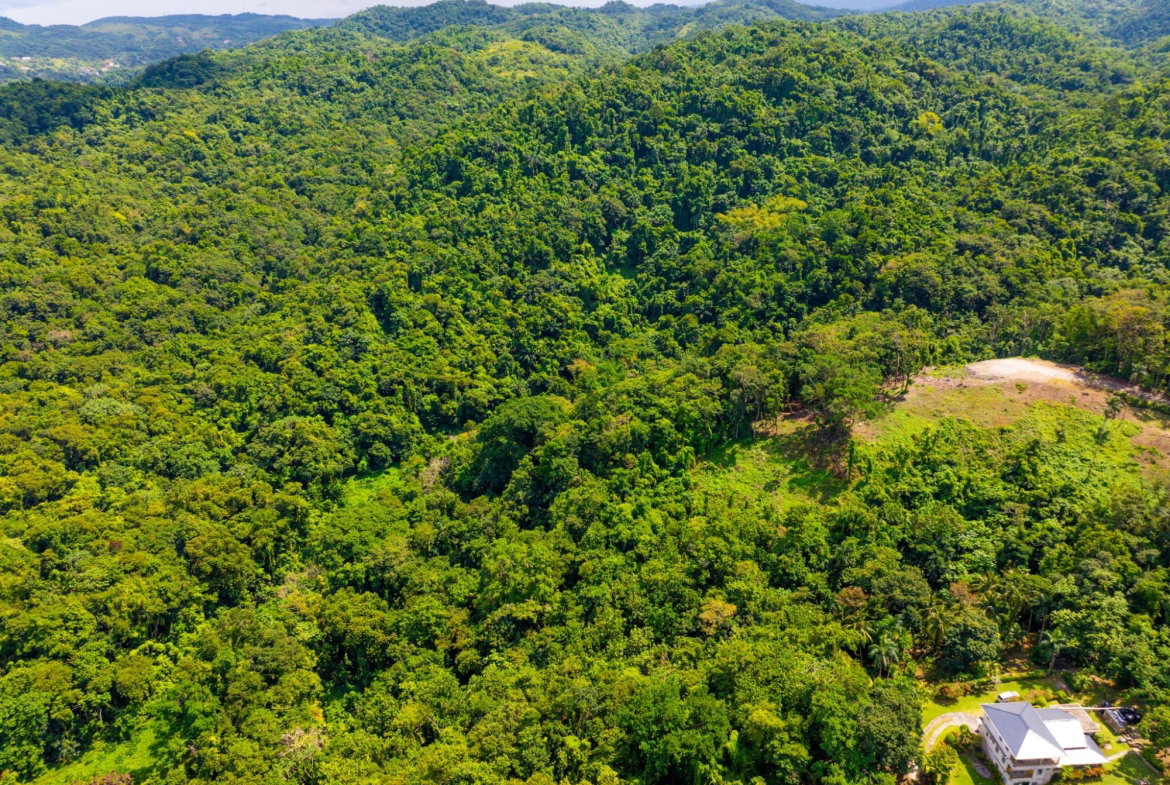 Seventeenth image of 341 San San in Fairy Hill, Portland, Jamaica - property is For Sale