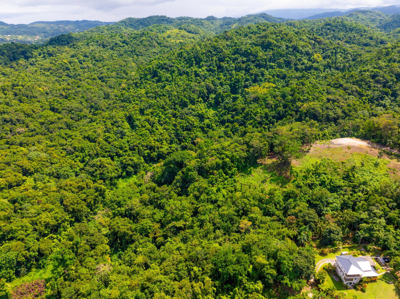 Prime-8.3-Acres-for-Sale-in-San-San-Estate-Jamaica Seventeenth image of 341 San San in Fairy Hill, Portland, Jamaica - property is For Sale