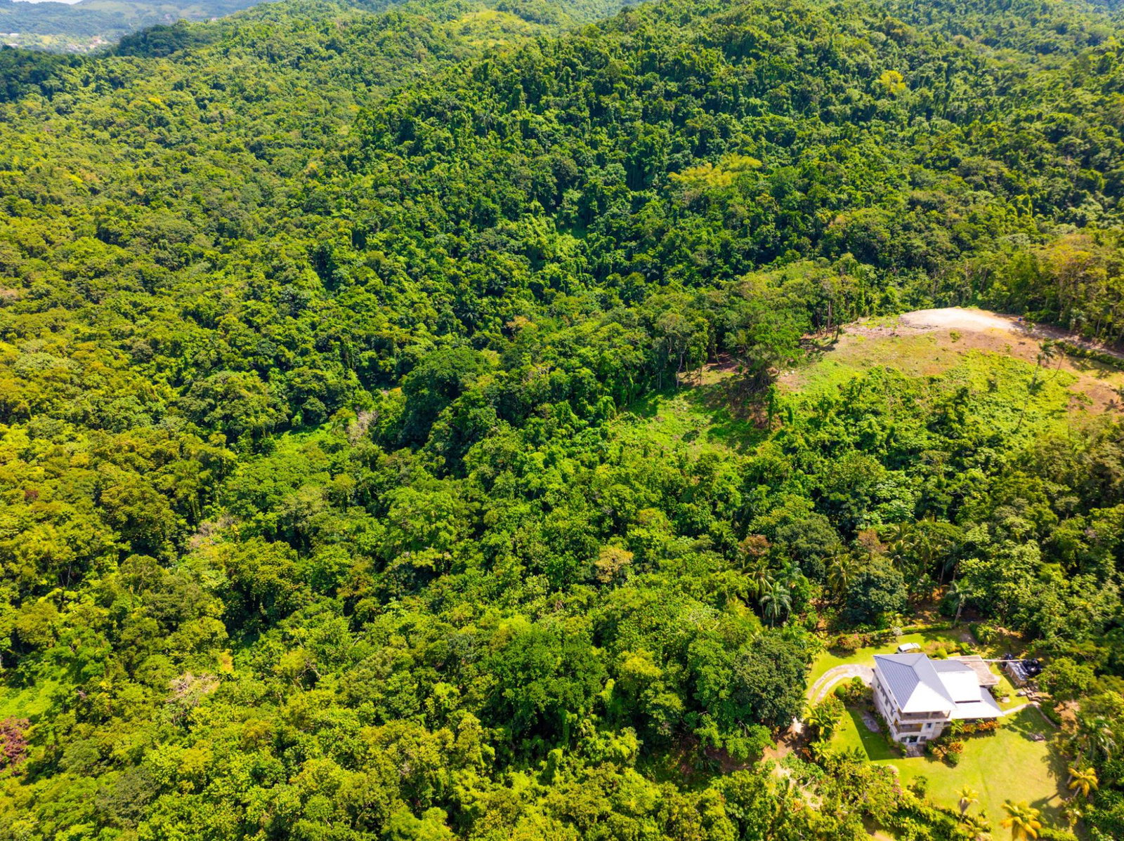 Eighteenth image of 341 San San in Fairy Hill, Portland, Jamaica - property is For Sale