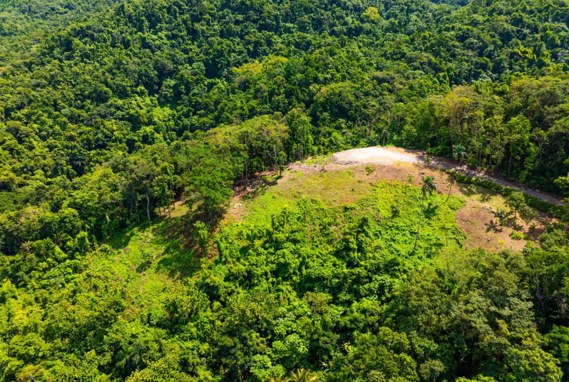 Nineteenth image of 341 San San in Fairy Hill, Portland, Jamaica - property is For Sale