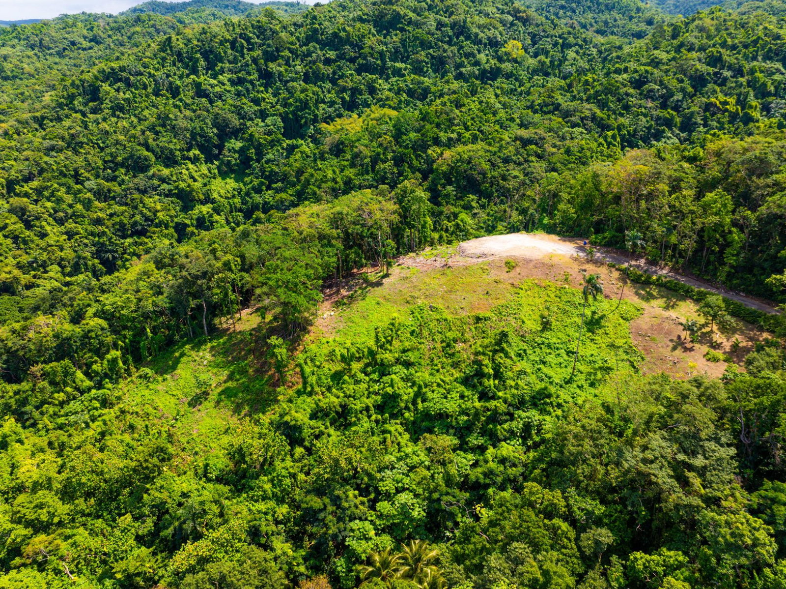 Prime-8.3-Acres-for-Sale-in-San-San-Estate-Jamaica Nineteenth image of 341 San San in Fairy Hill, Portland, Jamaica - property is For Sale