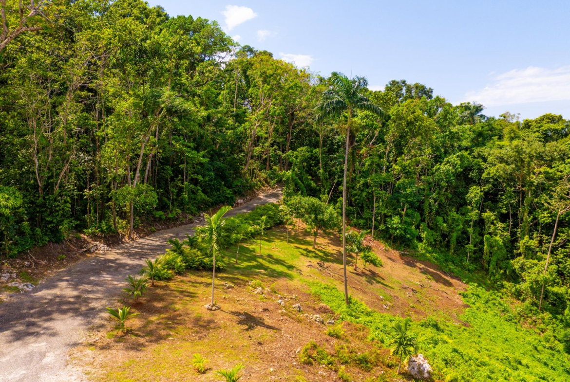 Twentieth image of 341 San San in Fairy Hill, Portland, Jamaica - property is For Sale
