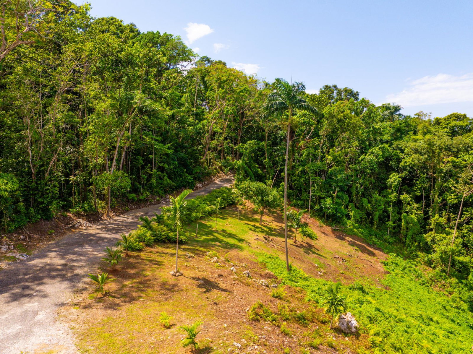 Prime-8.3-Acres-for-Sale-in-San-San-Estate-Jamaica Twentieth image of 341 San San in Fairy Hill, Portland, Jamaica - property is For Sale
