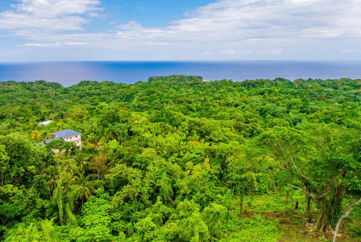 Third image of 341 San San in Fairy Hill, Portland, Jamaica - property is For Sale