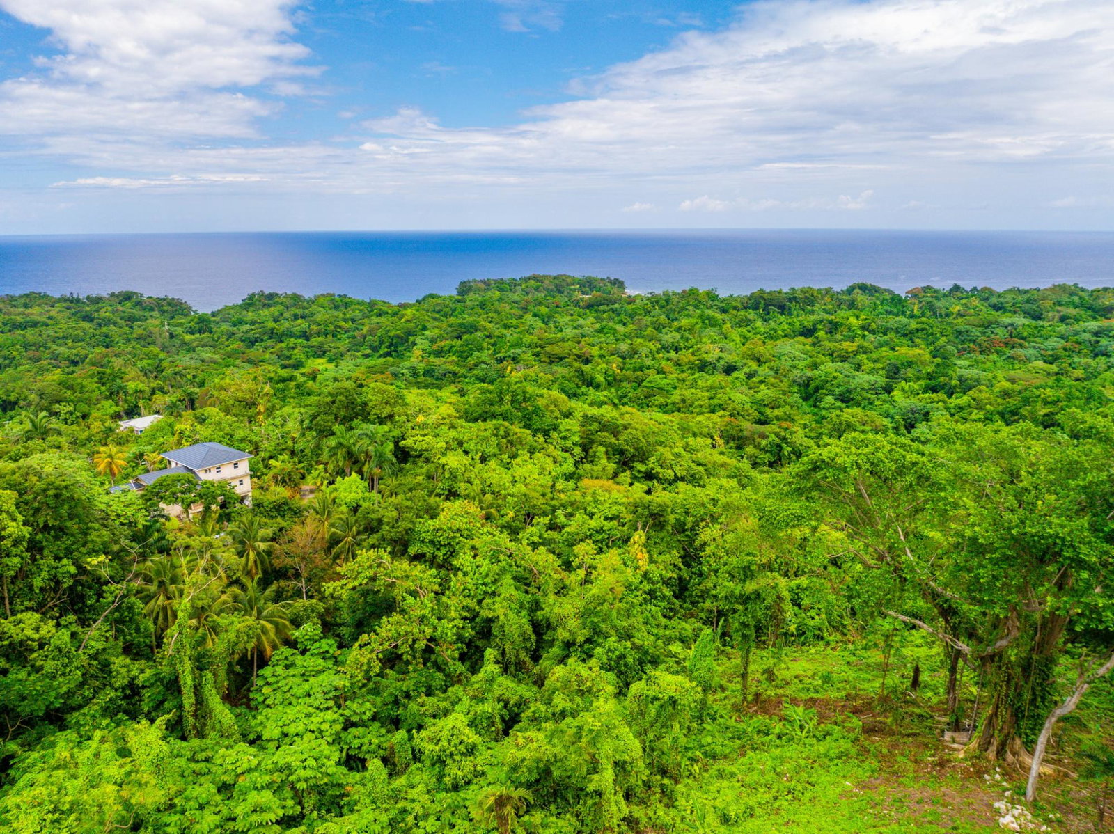 Prime-8.3-Acres-for-Sale-in-San-San-Estate-Jamaica Third image of 341 San San in Fairy Hill, Portland, Jamaica - property is For Sale