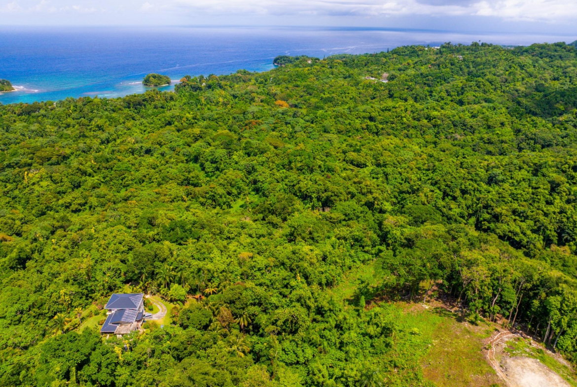 Twenty-First image of 341 San San in Fairy Hill, Portland, Jamaica - property is For Sale